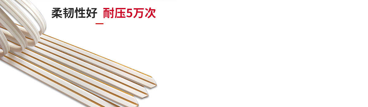  廠家技術(shù) 本地化支持